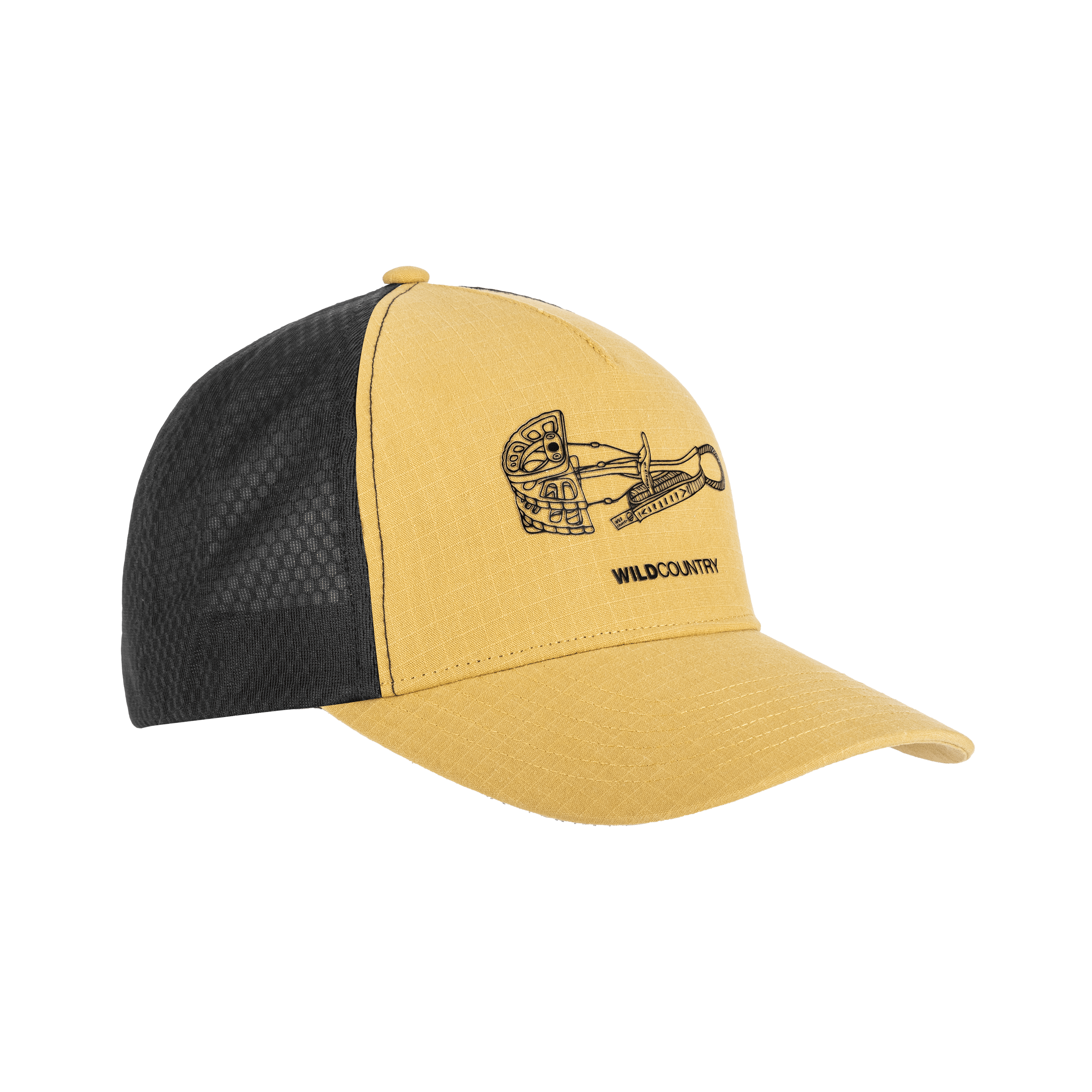 Session 2 Cap still image