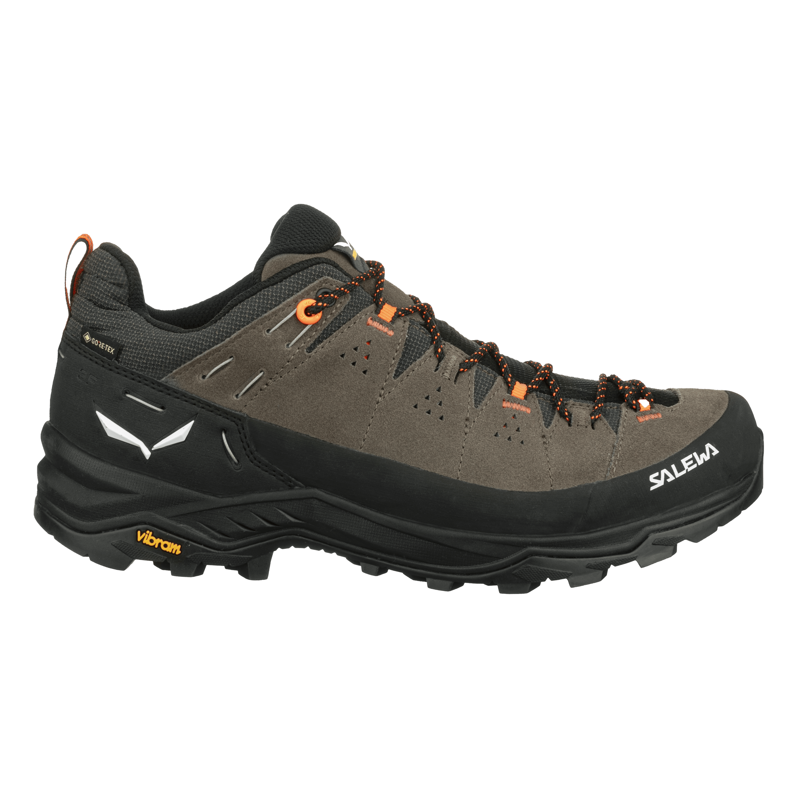 Alp Trainer 2 Gore-Tex® Shoe Men perspective_view image