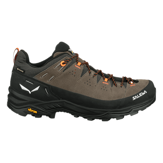 Alp Trainer 2 Gore-Tex® Shoe Men perspective_view image
