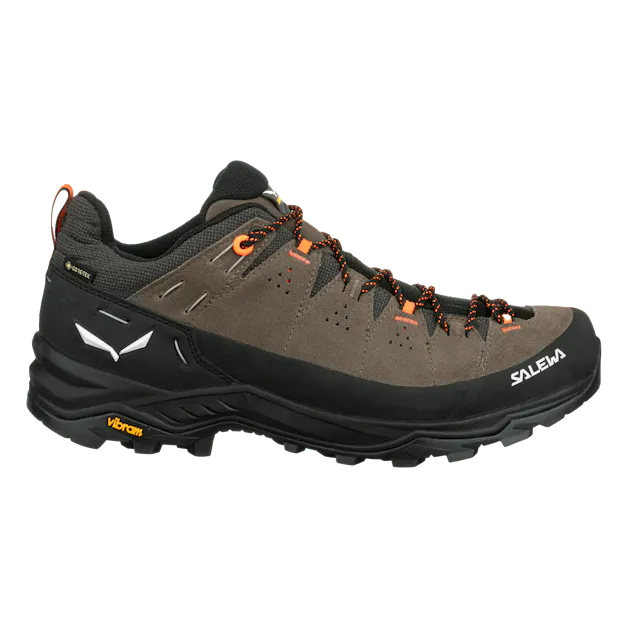 Alp Trainer 2 Gore-Tex® Shoe Men perspective_view image
