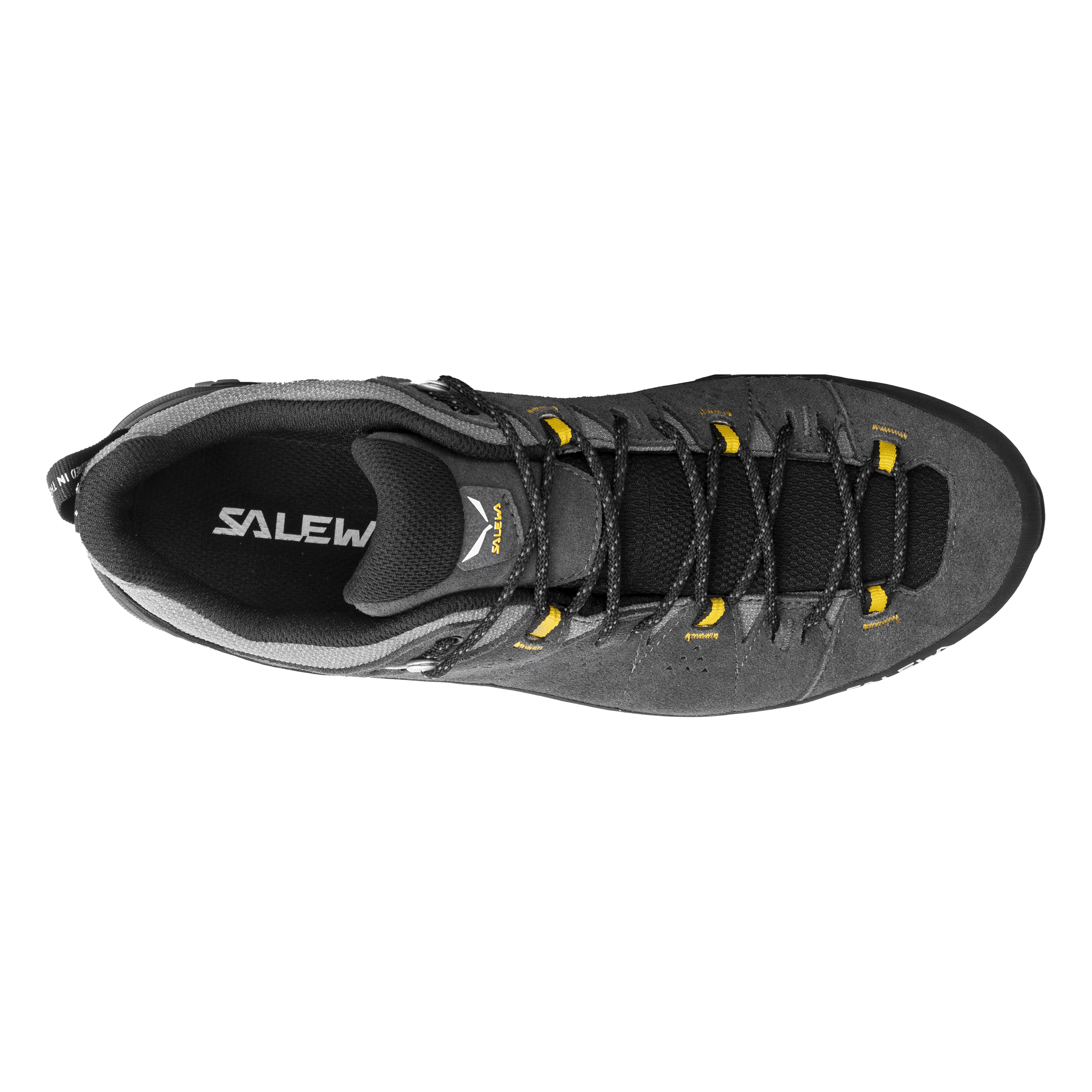 Alp Trainer 2 Gore-Tex® Shoe Men perspective_view image