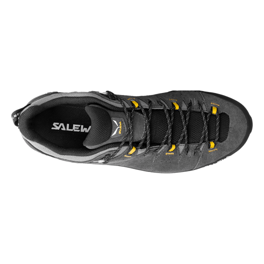 Alp Trainer 2 Gore-Tex® Shoe Men perspective_view image