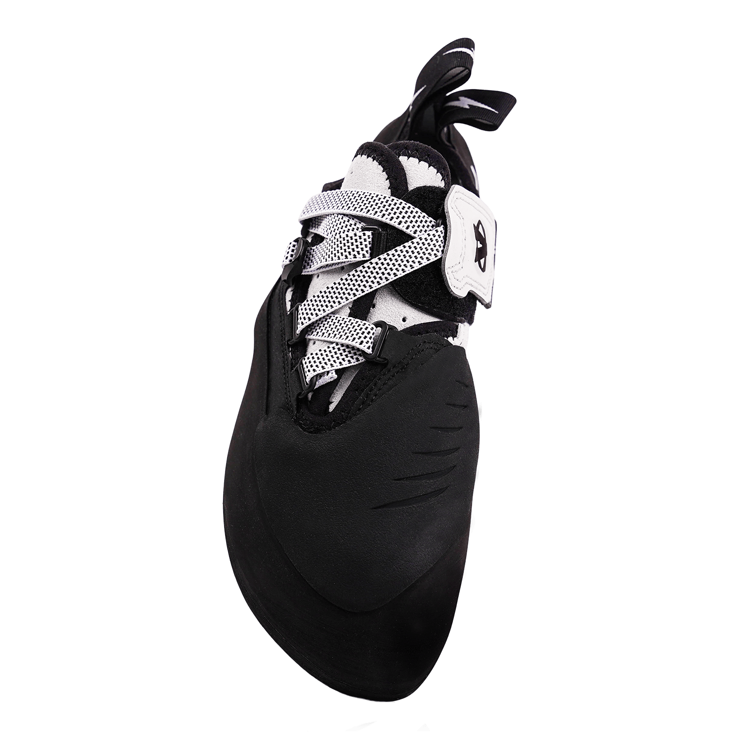 Phantom LV perspective_view image