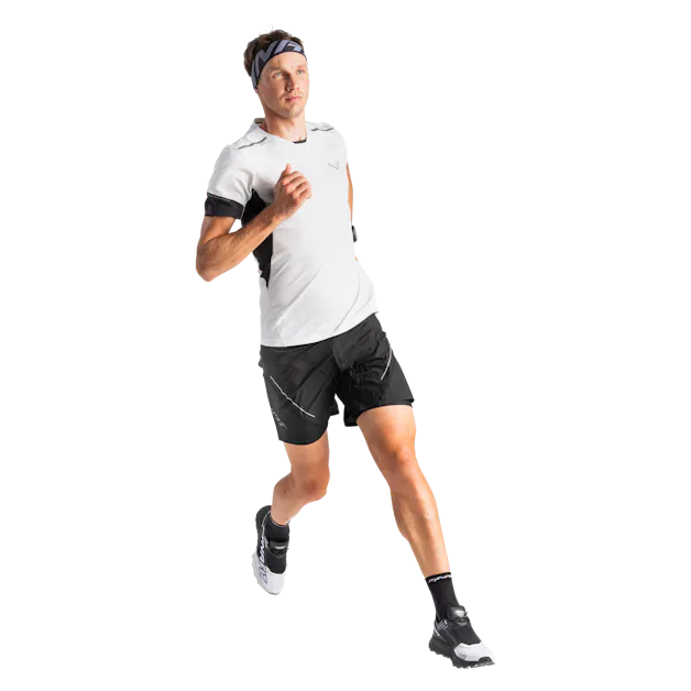Alpine Pro 2in1 Shorts Herren on_body image