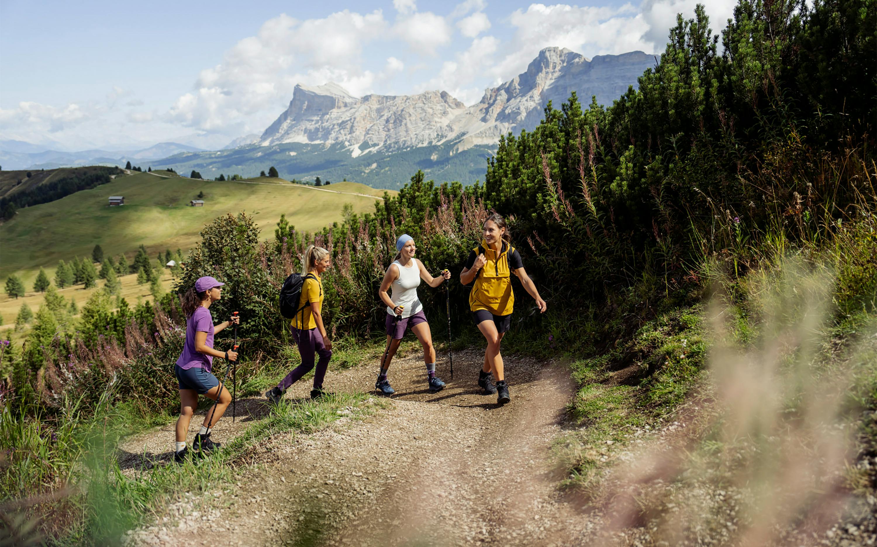 Katharina Shorts horizontal image