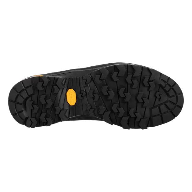 Alp Trainer 2 Gore-Tex® Damen Schuh perspective_view image