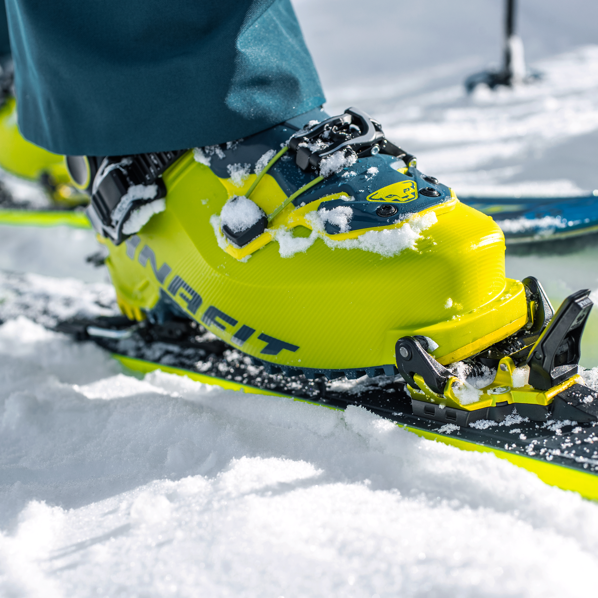 3*n様 Dynafit RadicalPro 26cm Amazon.com: Dynafit Radical Pro Ski Boot - Men's Petrol/Lime