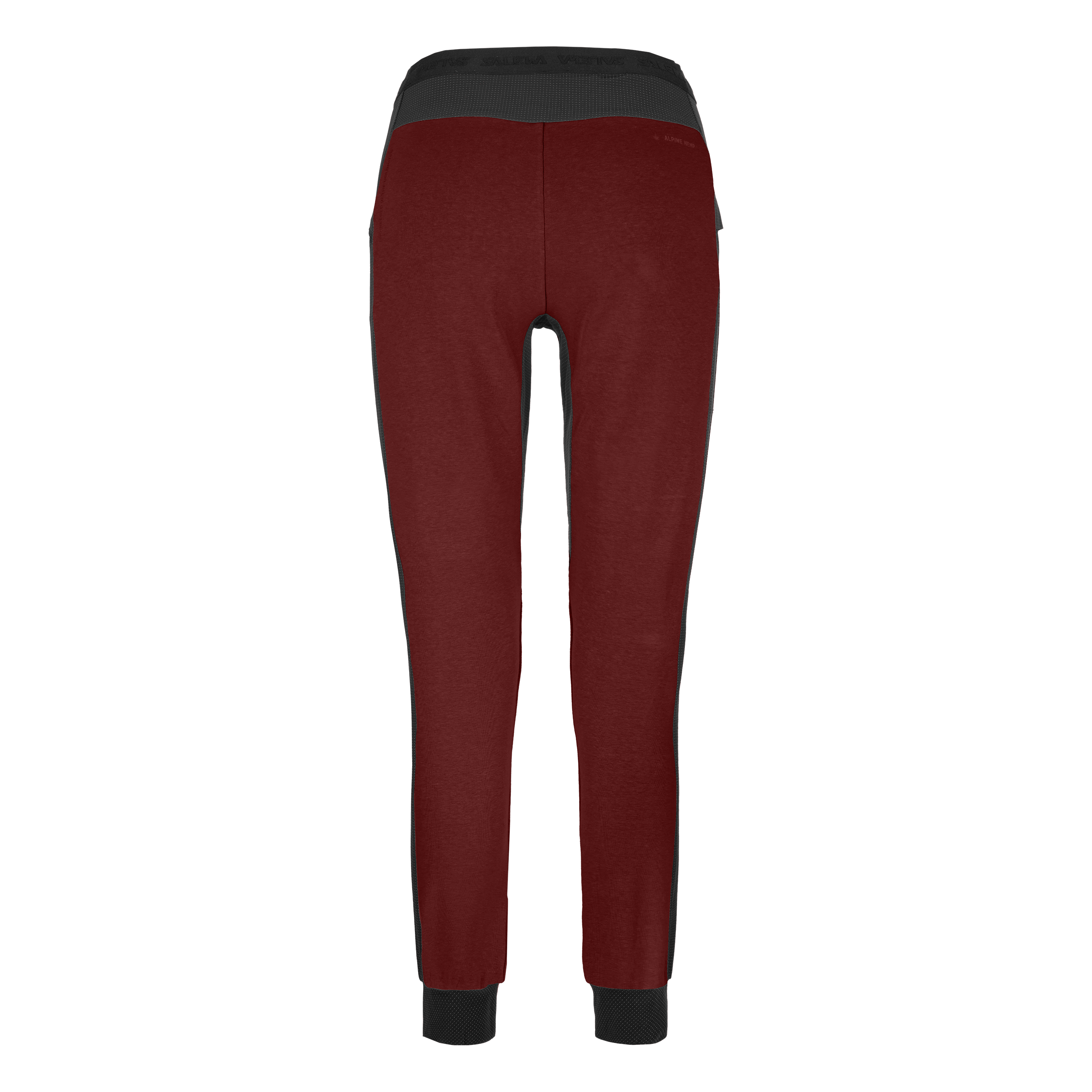Lavaredo Hemp Train Pant Women perspective_view image