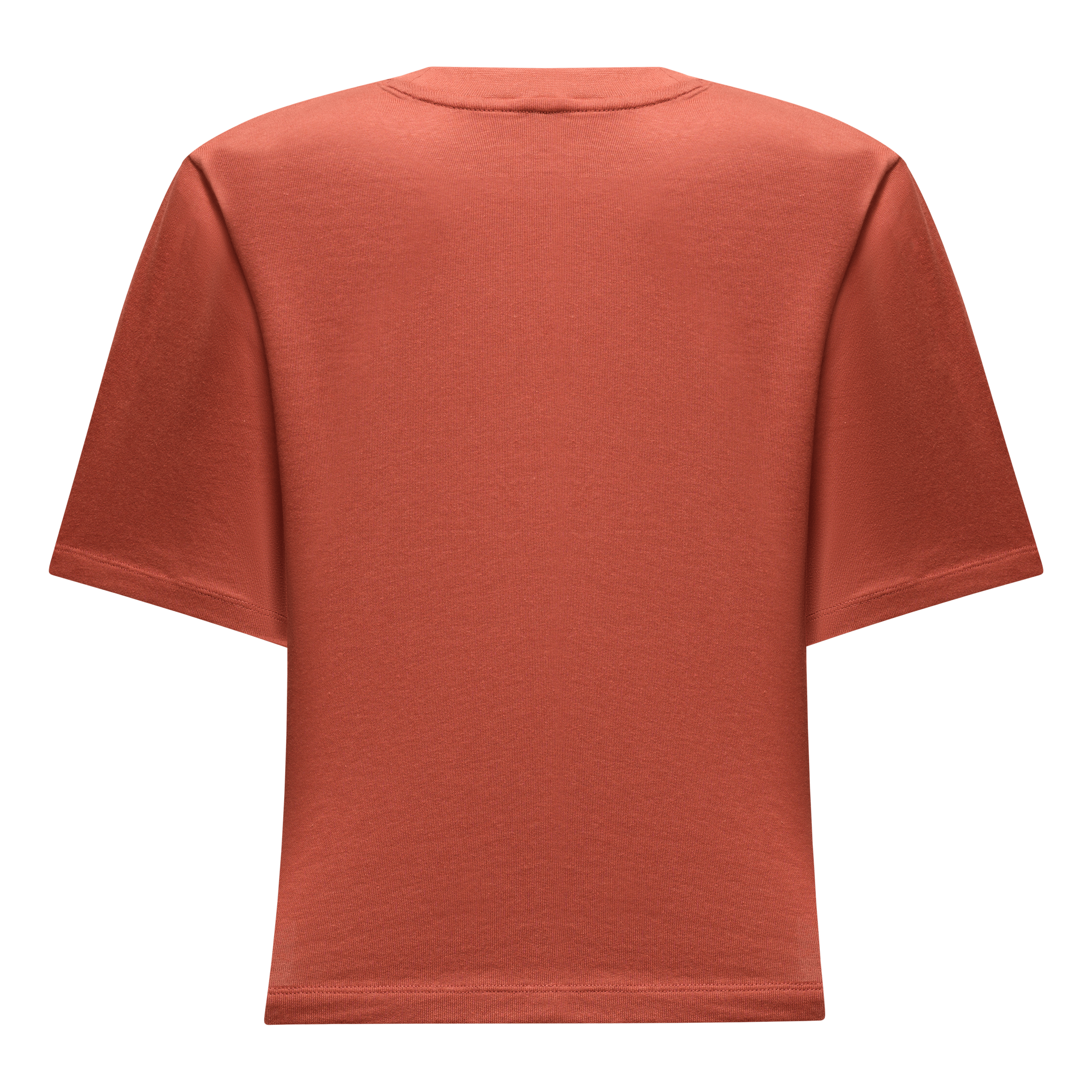 Eagle 2 T-shirt Donna perspective_view image