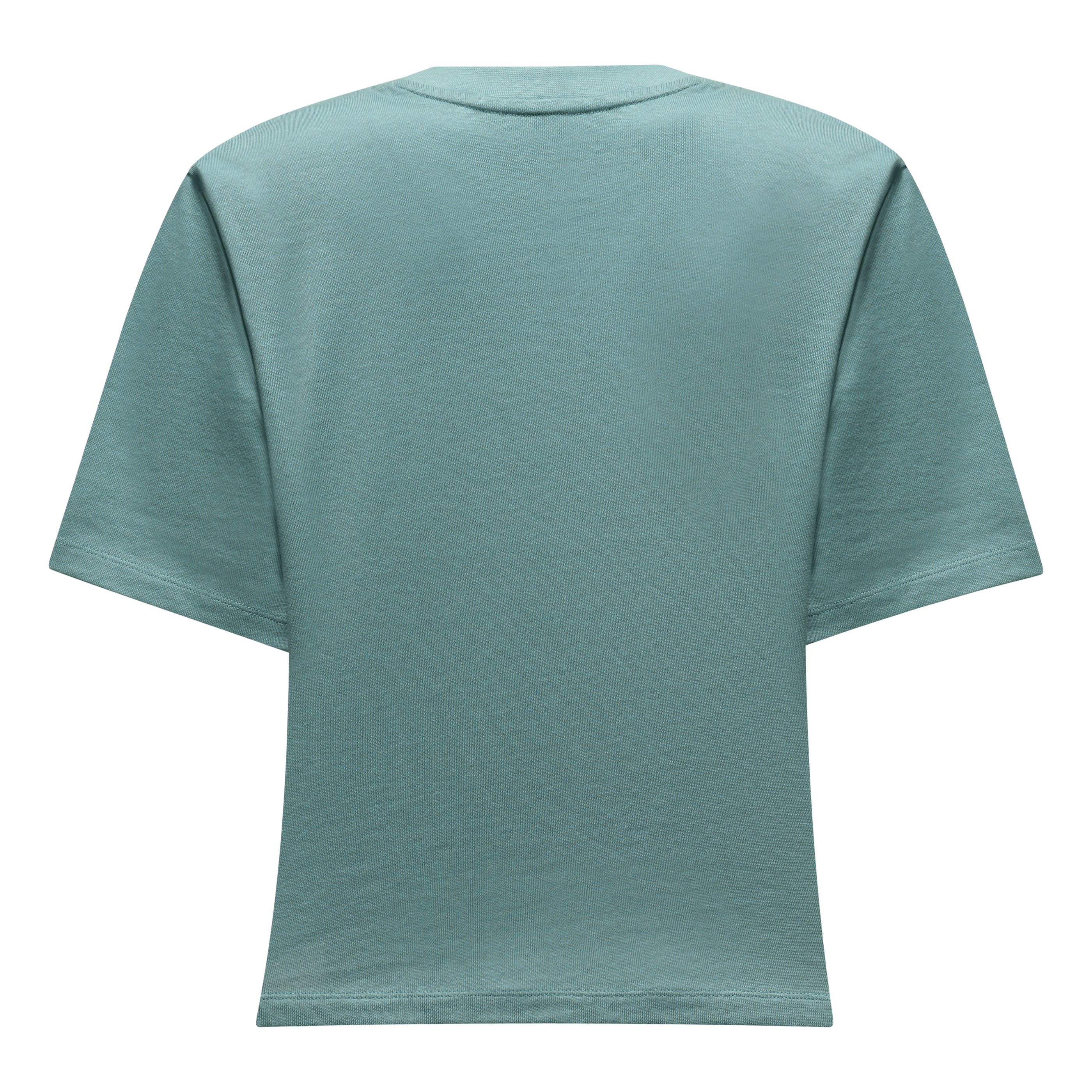 Eagle 2 T-shirt Donna perspective_view image