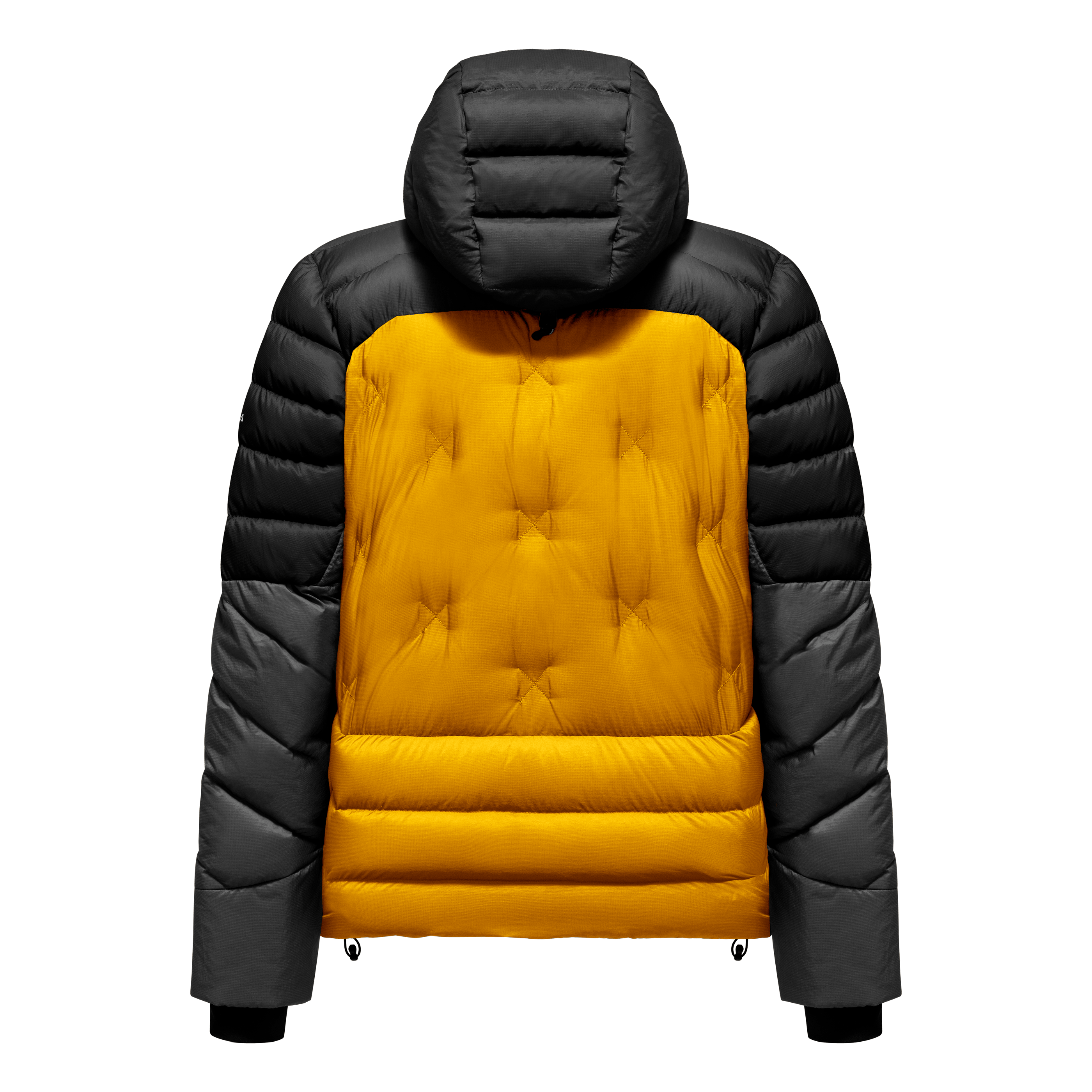 Ortles Medium 4 RDS Down Jacket Man perspective_view image