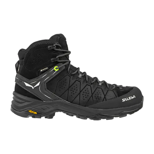 Alp Trainer 2 Mid GORE-TEX® Men's Shoe perspective_view image