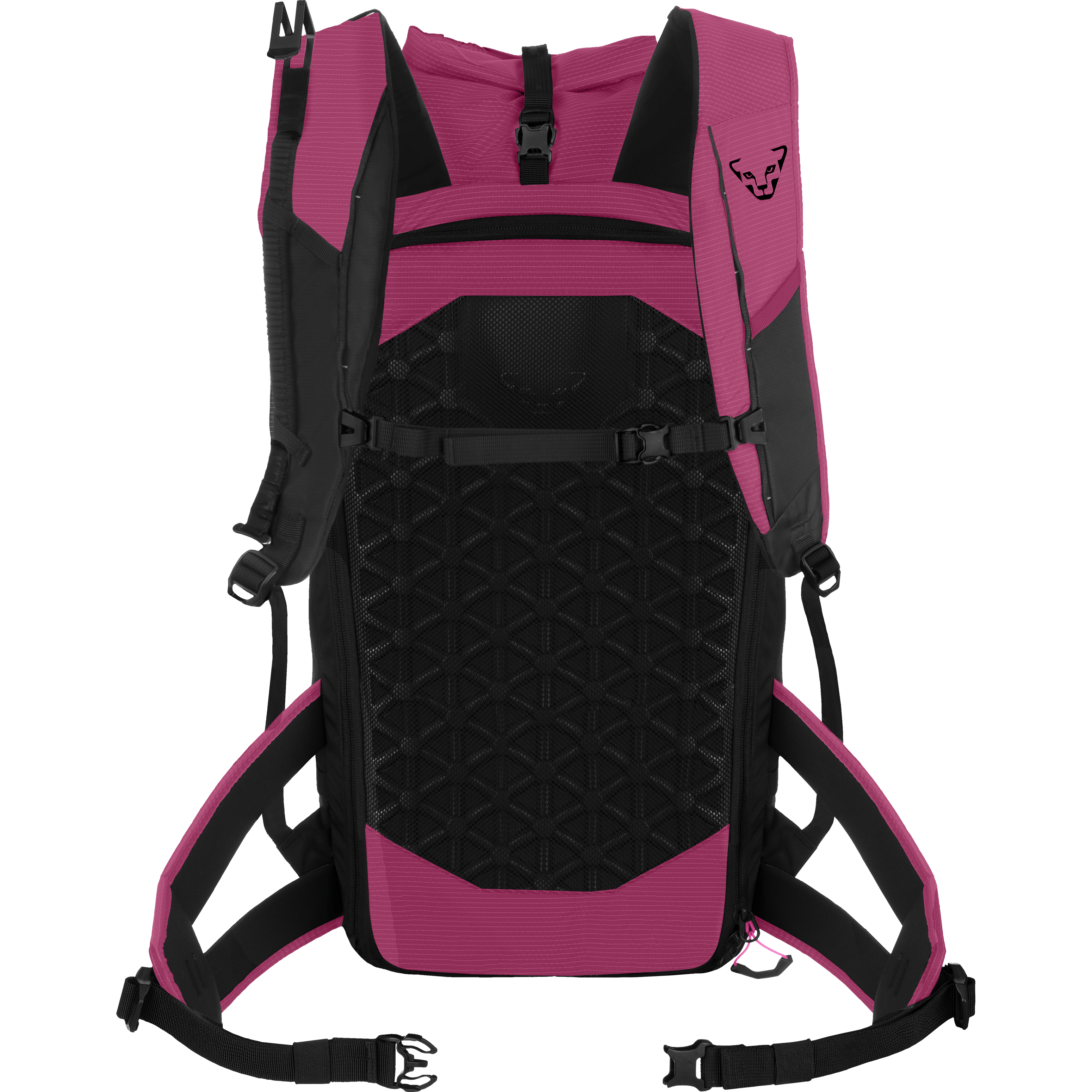 Radical 30+ zaino da donna perspective_view image